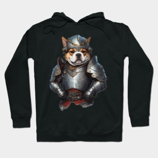 dog knight in shining armour Hoodie